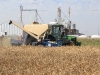 cosechadora de grano - LA RECONQUISTA