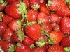 Berries - frutillas