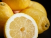 Citrus - limon