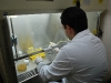 bioinsecticida-dengue-lab-de-graciela-benintende-castelar-42