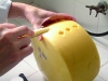 elaboracion-de-queso-reggianito-argentino-utilizando-fermentos-directos