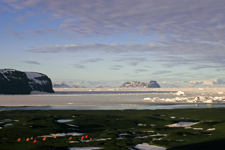 44-INTA en la Antártida el secreto de sus suelos2 (3)