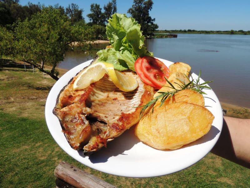 Pacú: el pescado típico del Paraná con alto valor nutricional