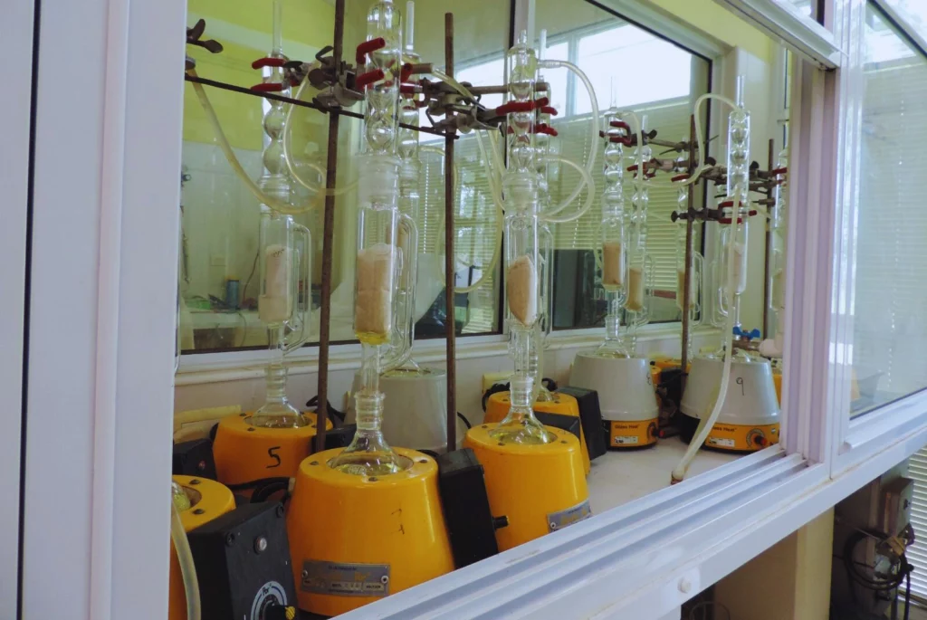 El secreto del maní argentino: investigación científica y clima frío detrás de su sabor más dulce