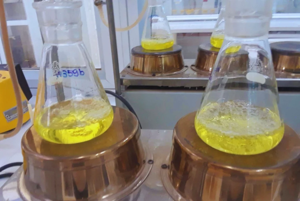 El secreto del maní argentino: investigación científica y clima frío detrás de su sabor más dulce